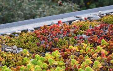 the cost of Hinchley Wood green roof installation